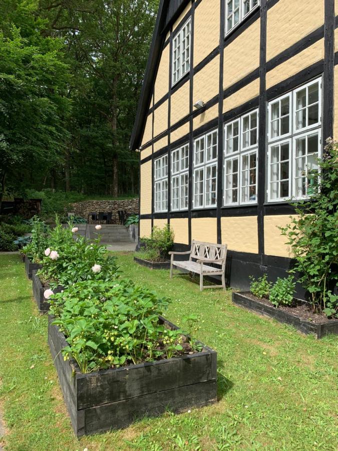 Hotel Egeskoven Viborg Dış mekan fotoğraf